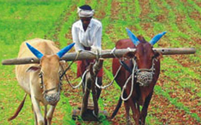 Rayathooru - World’s Largest Farmer Incubator
